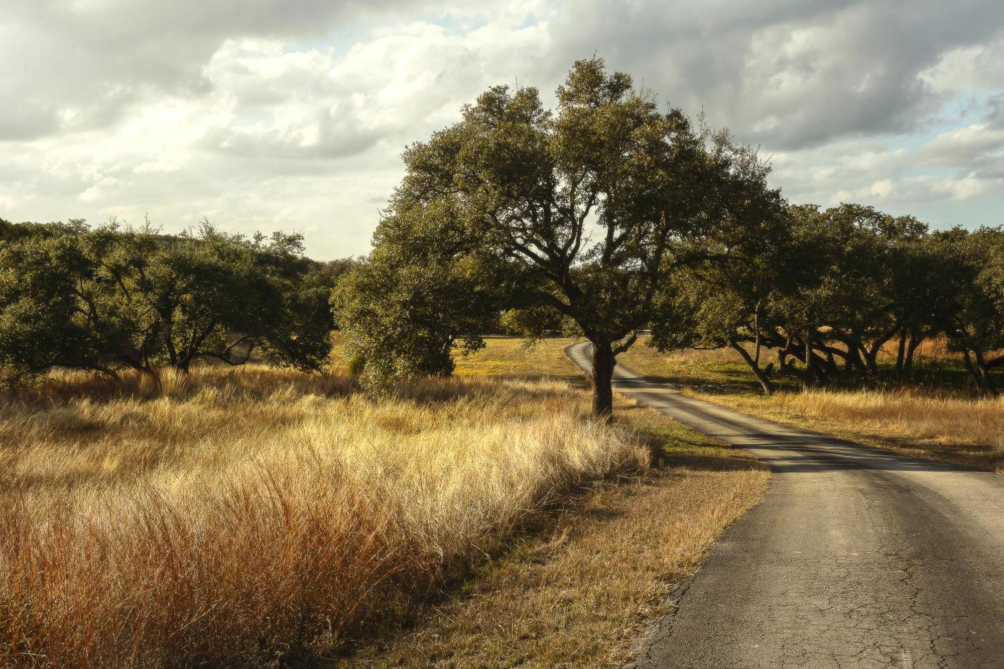 Blair House Inn And Spa Wimberley Dış mekan fotoğraf