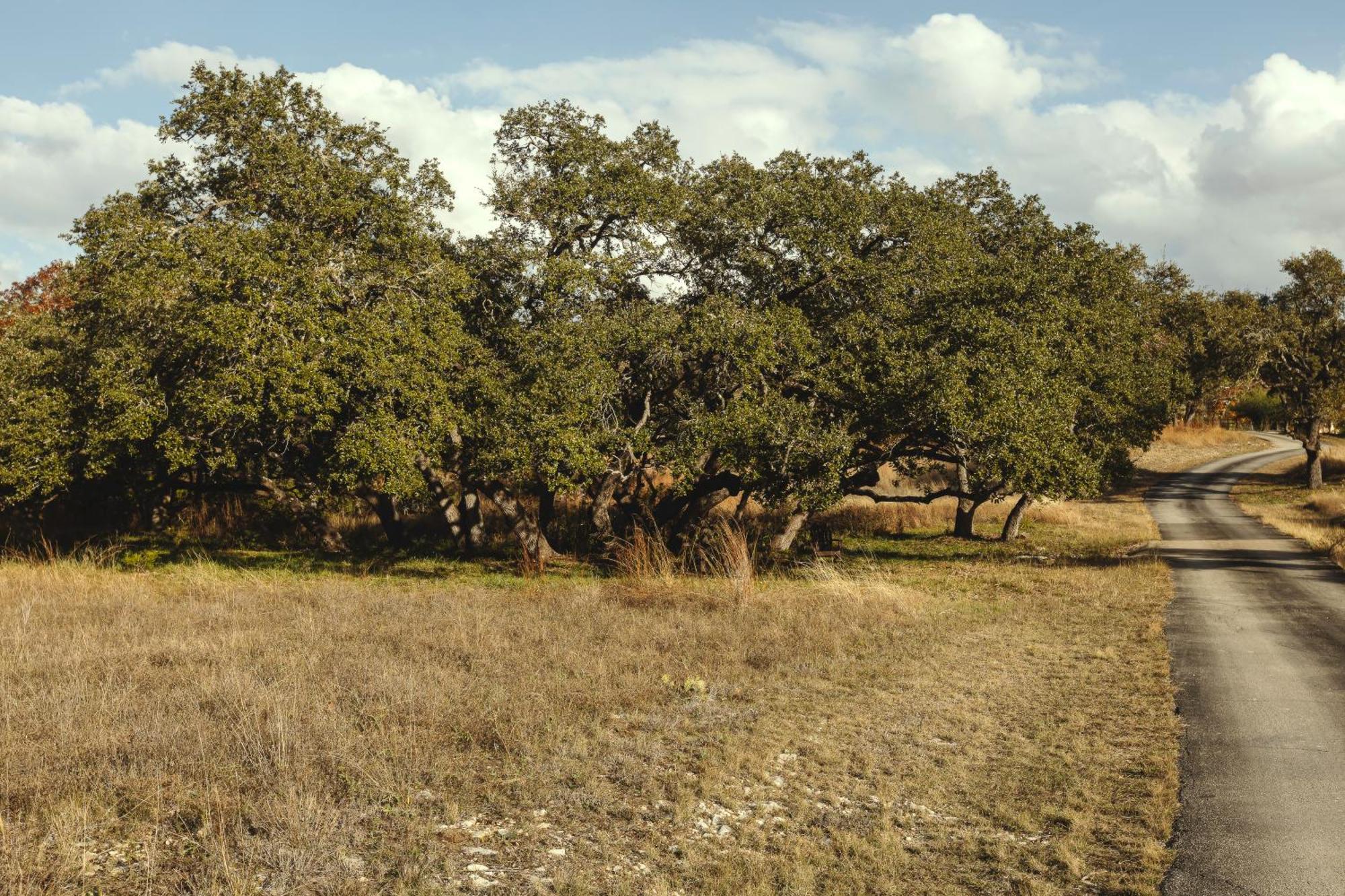Blair House Inn And Spa Wimberley Dış mekan fotoğraf